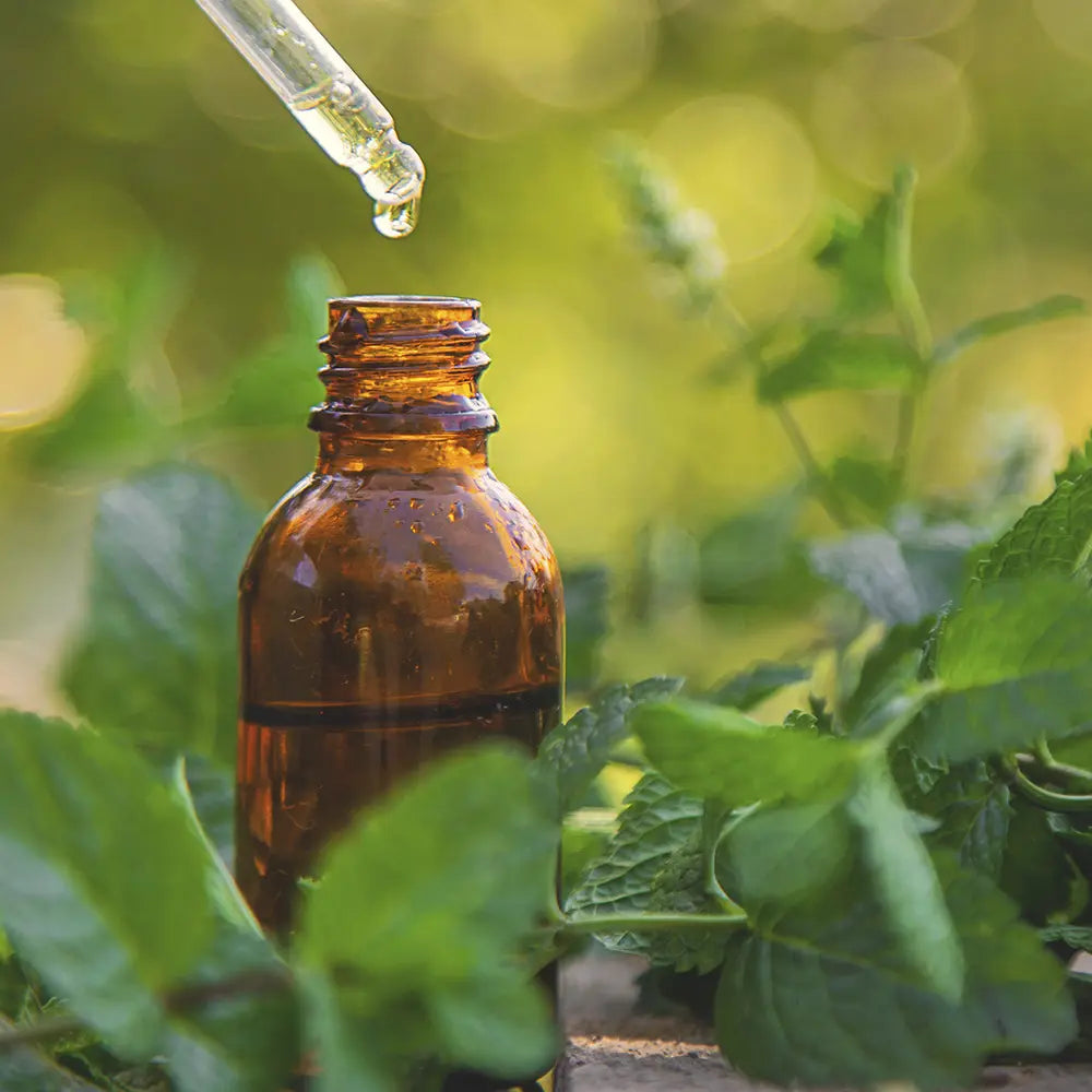 How to Prevent Parasitic Infections: Protect Your Gut, Brain, and Immune System